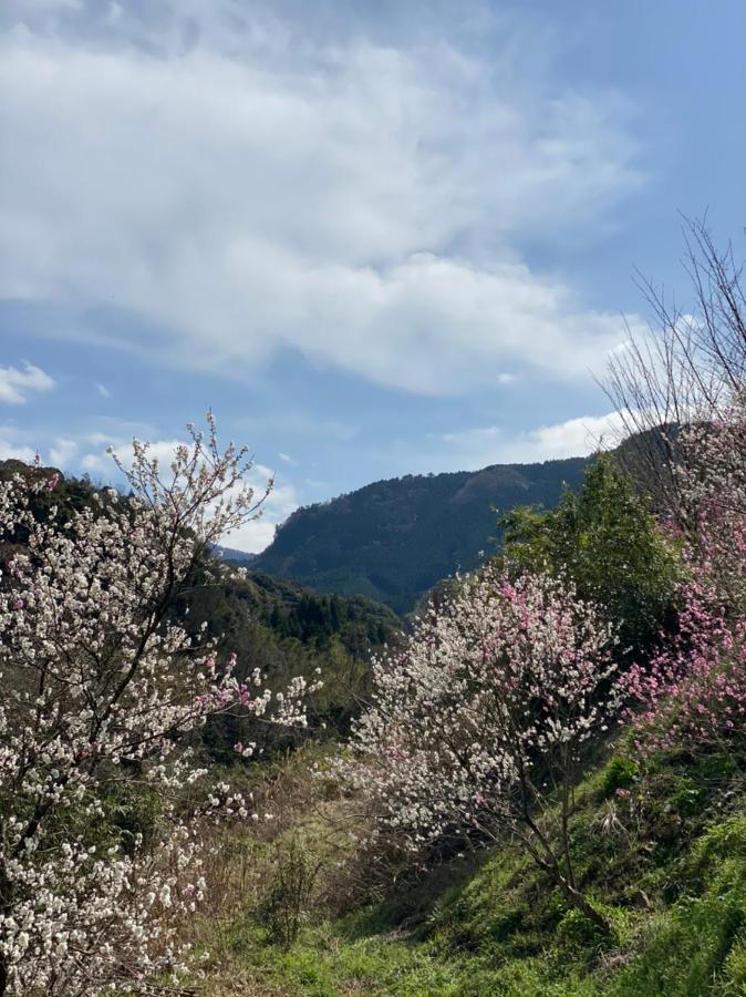 Hotel Yufuin Ryoan Wazanho Oita Zewnętrze zdjęcie